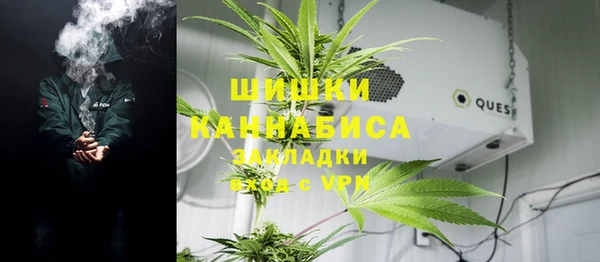 PSILOCYBIN Балахна
