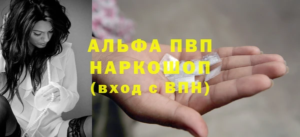 PSILOCYBIN Балахна