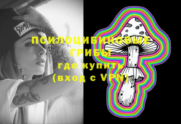 PSILOCYBIN Балахна