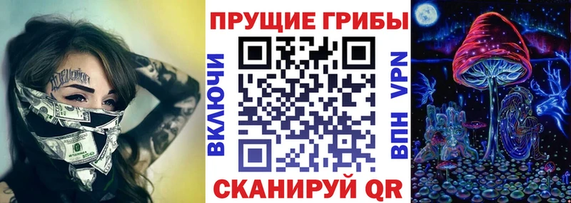 блэк спрут онион  Малгобек  Псилоцибиновые грибы GOLDEN TEACHER  что такое наркотик 